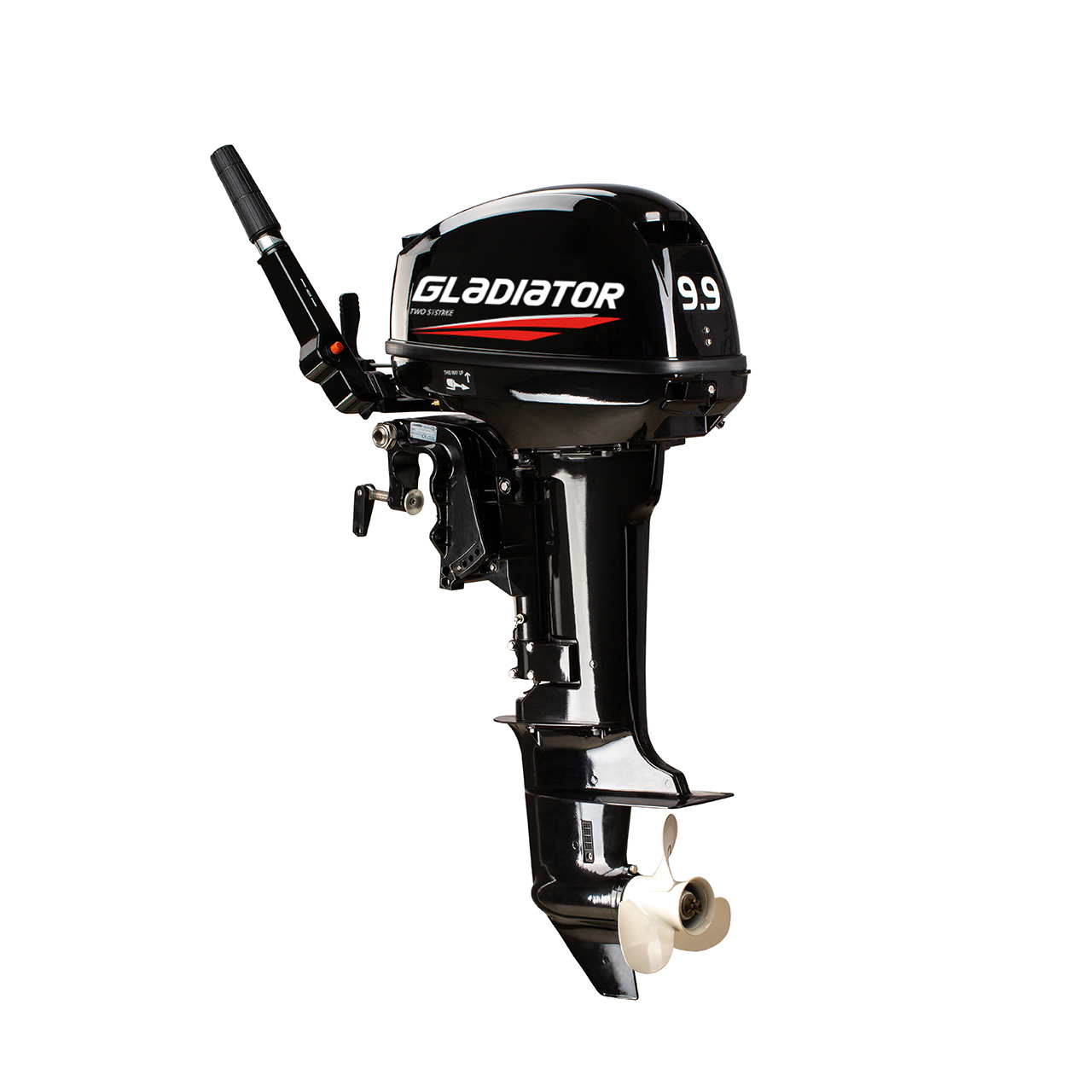 ЛОДОЧНЫЙ МОТОР GLADIATOR G9.9FHS в Северске