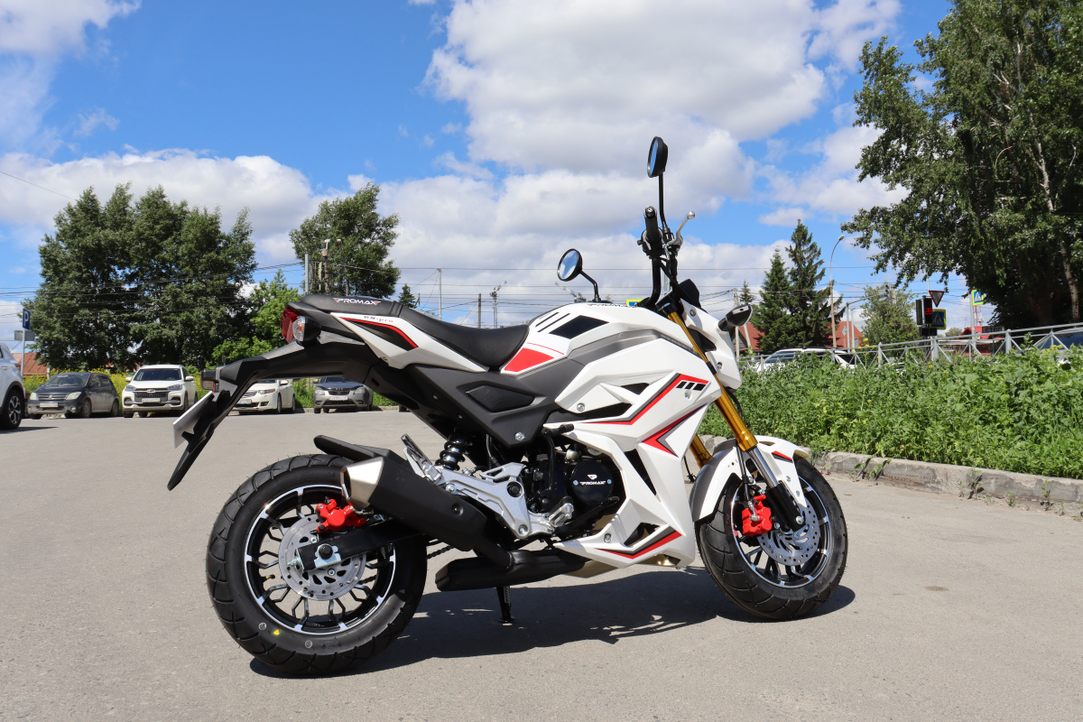 Мотоцикл PROMAX STRYKER 200(49) 2.0 в Северске