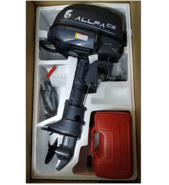 Лодочный мотор ALLFA CG F6 в Северске