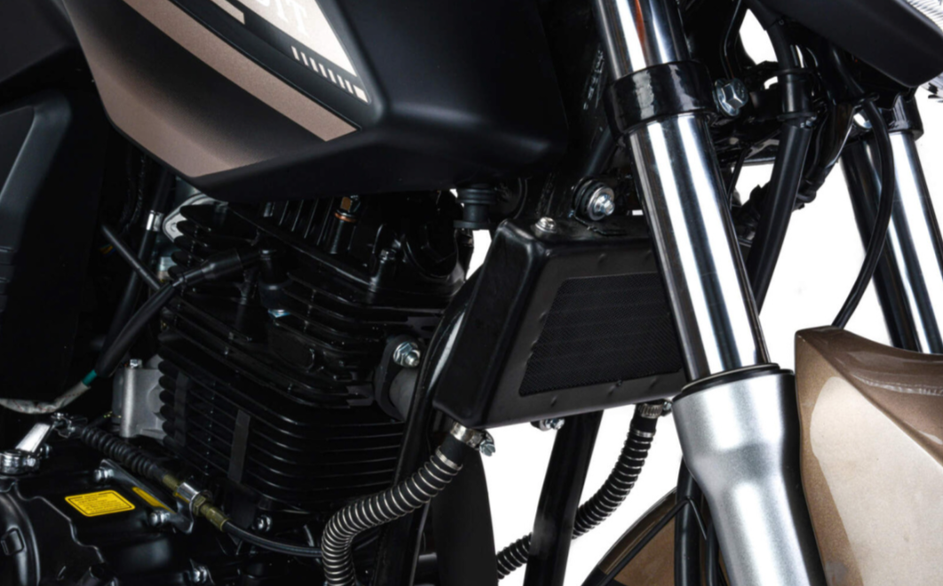 Мотоцикл MOTOLAND (МОТОЛЕНД) 300 BANDIT в Северске