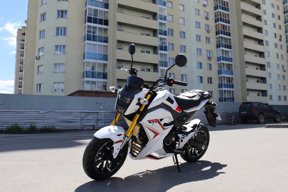 Мотоцикл PROMAX STRYKER 200(49) 2.0 в Северске