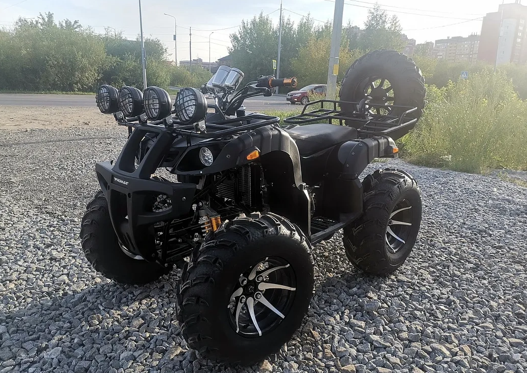 Квадроцикл PROMAX LEO 300 Max (кардан) в Северске