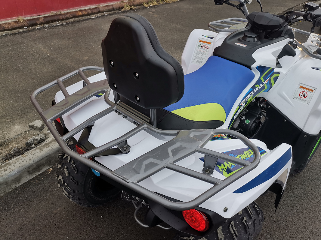 Квадроцикл PROMAX RENEGADE 280 LUX (2025) в Северске