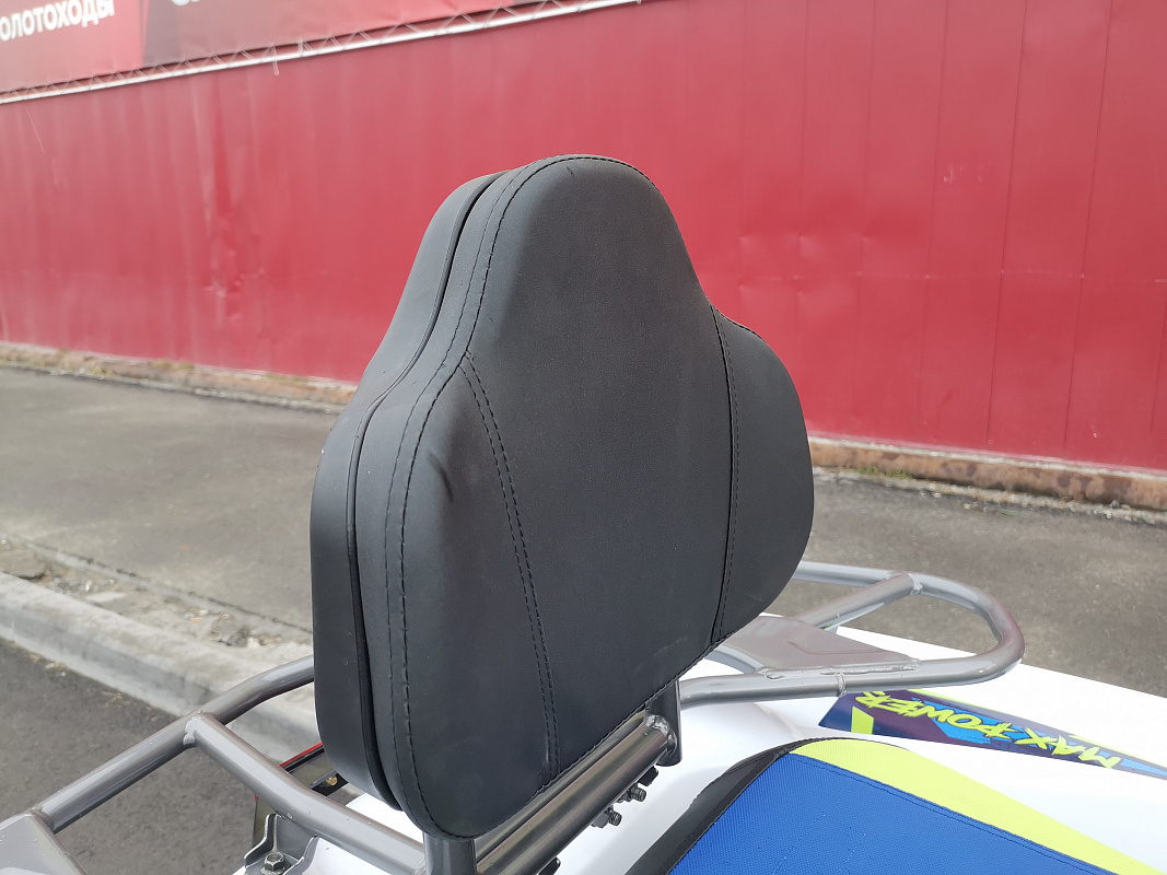 Квадроцикл PROMAX RENEGADE 280 LUX (2025) в Северске