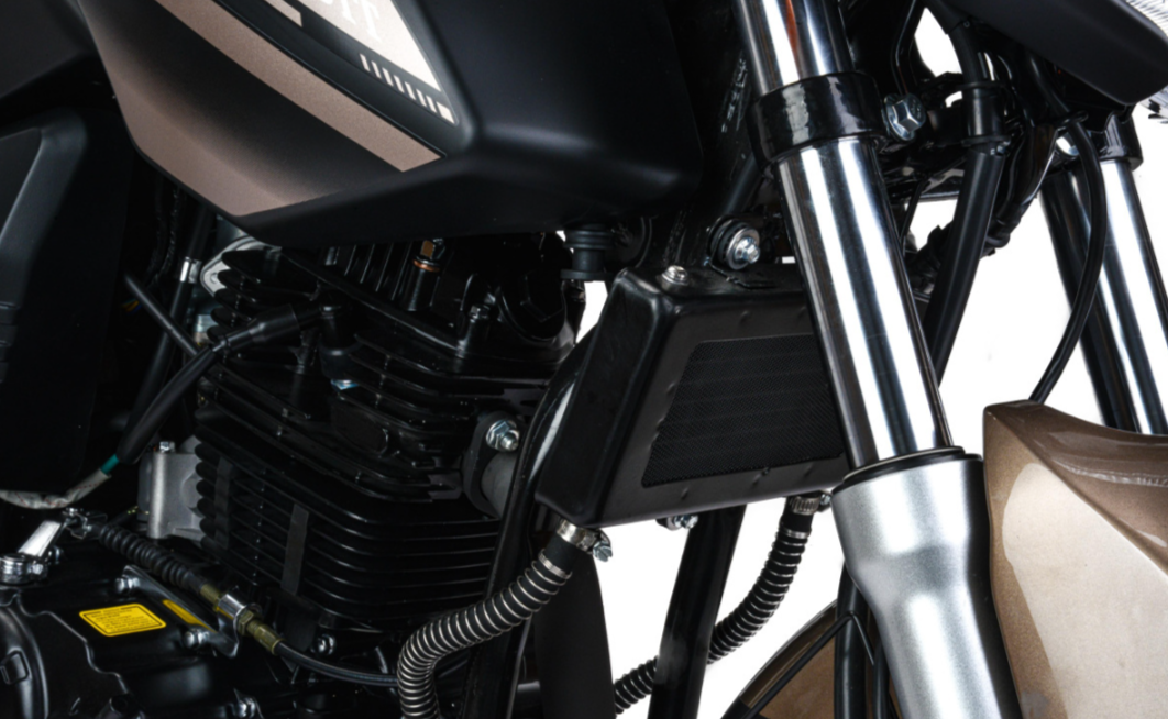 Мотоцикл MOTOLAND (МОТОЛЕНД) 300 BANDIT в Северске