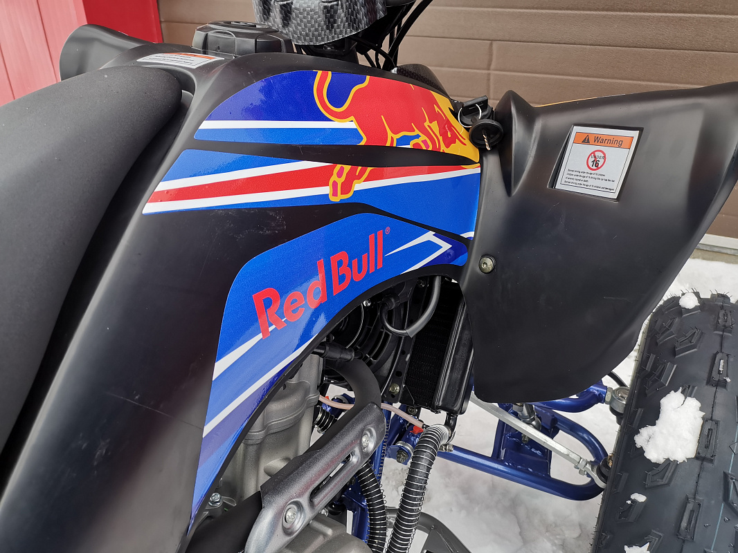 Квадроцикл PROMAX RAPTOR 300 NEW RedBull в Северске