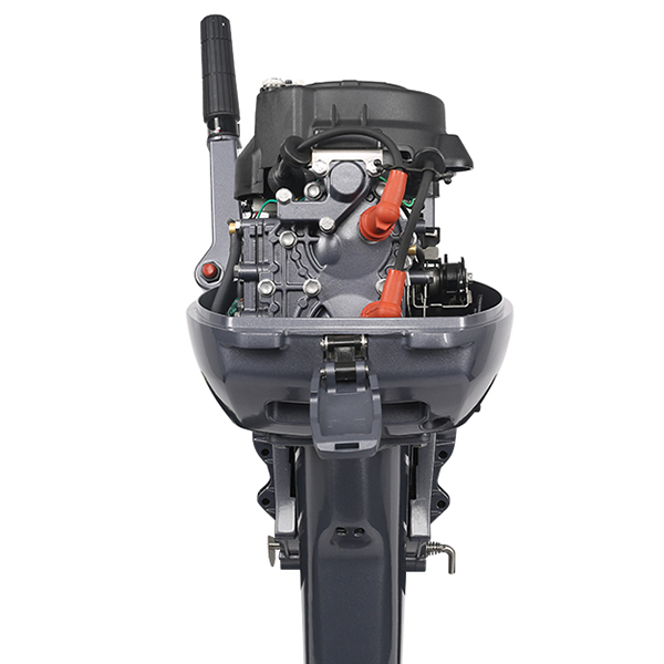 ЛОДОЧНЫЙ МОТОР ALLFA CG Т9,9 Limit в Северске