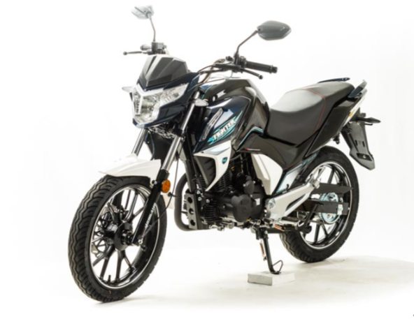 Мотоцикл MOTOLAND (МОТОЛЕНД) FIGHTER 250 в Северске