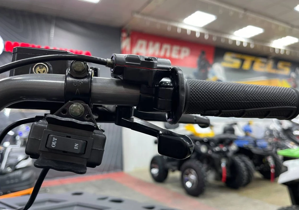 Квадроцикл PROMAX RENEGADE 300 LONG WINCH PRO (2025) в Северске