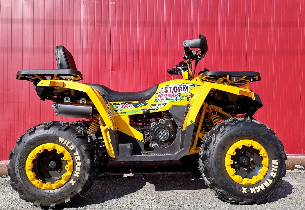 Квадроцикл PROMAX STORM 280 LUX в Северске