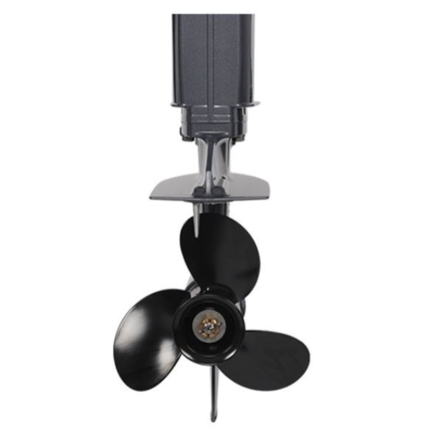 Лодочный мотор ALLFA CG Т40FW S в Северске