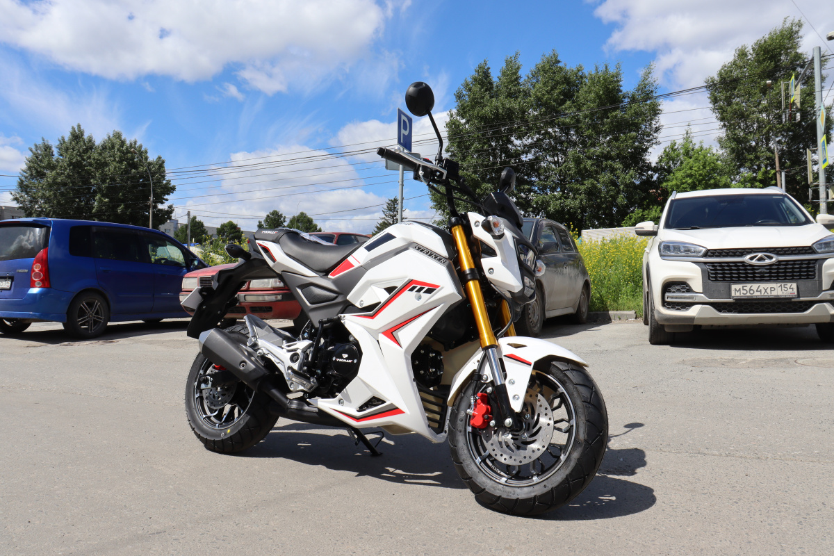 Мотоцикл PROMAX STRYKER 200(49) 2.0 в Северске