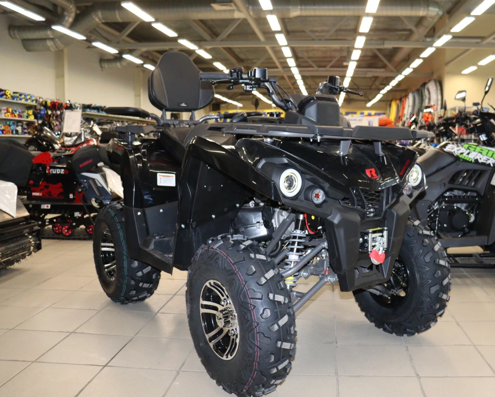 Квадроцикл PROMAX RENEGADE 300 LONG WINCH PRO (2025) в Северске