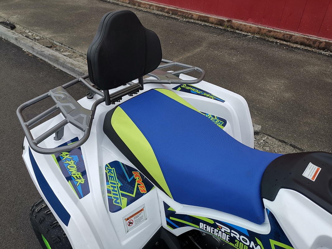 Квадроцикл PROMAX RENEGADE 280 LUX (2025) в Северске