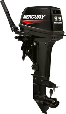 ЛОДОЧНЫЙ МОТОР MERCURY 9.9 MH TMC 247 CC в Северске