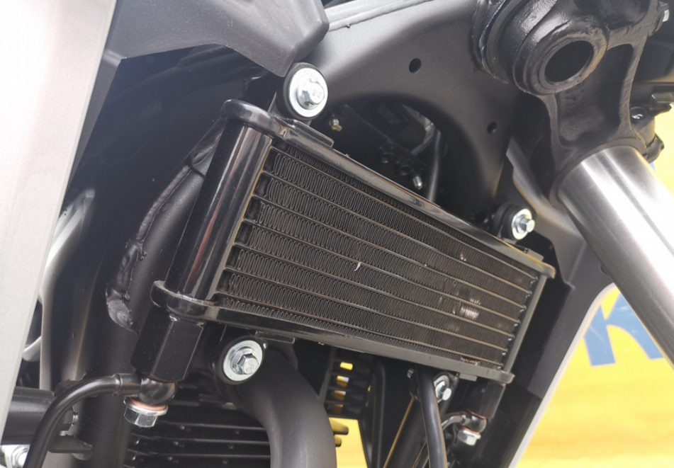 Мотоцикл MOTOLAND (МОТОЛЕНД) 250 CB250 (172FMM-5/PR250) (2022 г.) в Северске