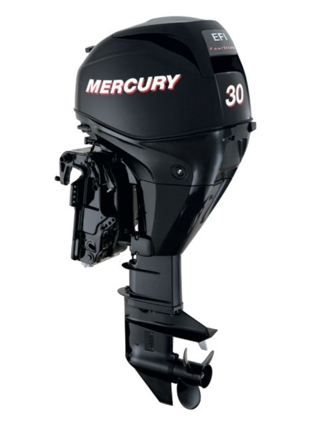 ЛОДОЧНЫЙ МОТОР MERCURY  F 30 ELH GA EFI в Северске