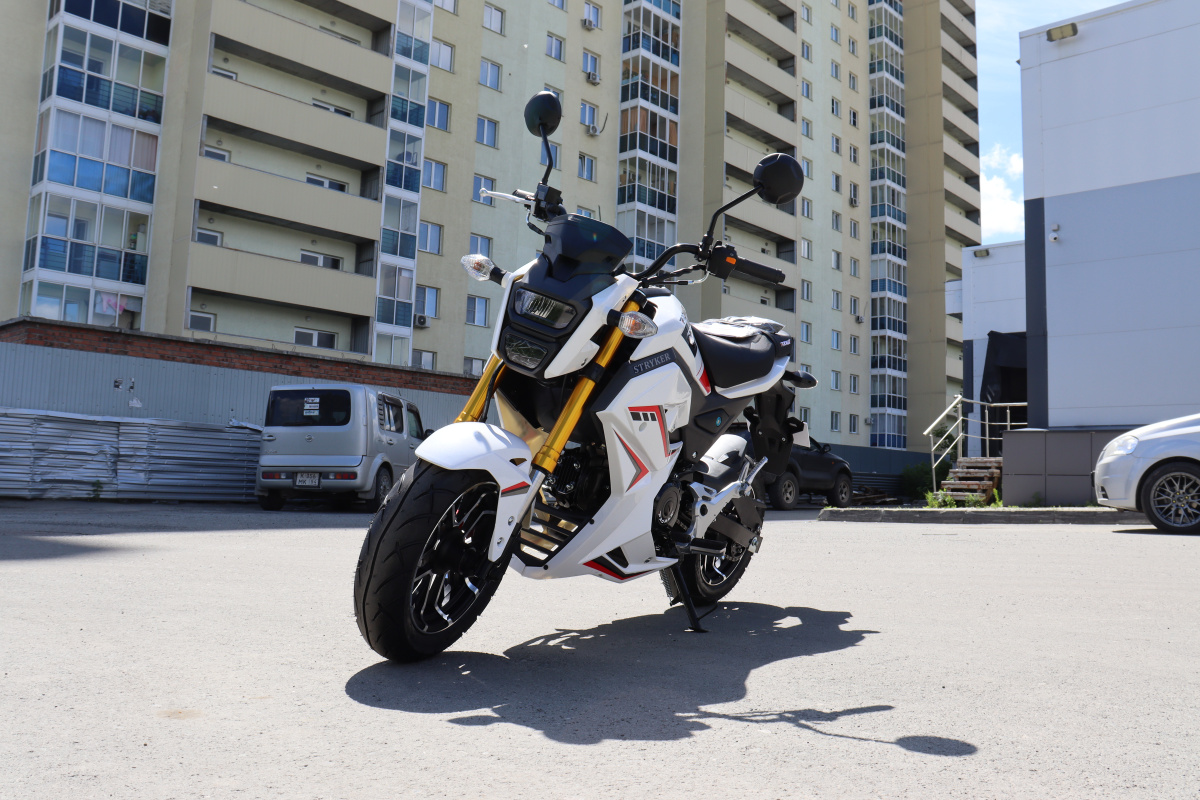 Мотоцикл PROMAX STRYKER 200(49) 2.0 в Северске