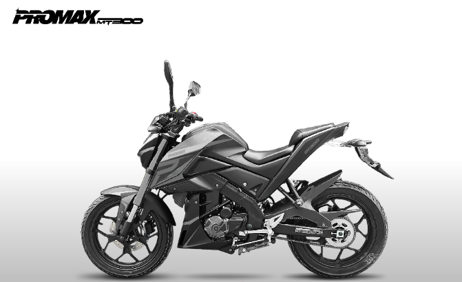 Мотоцикл PROMAX MT300 в Северске