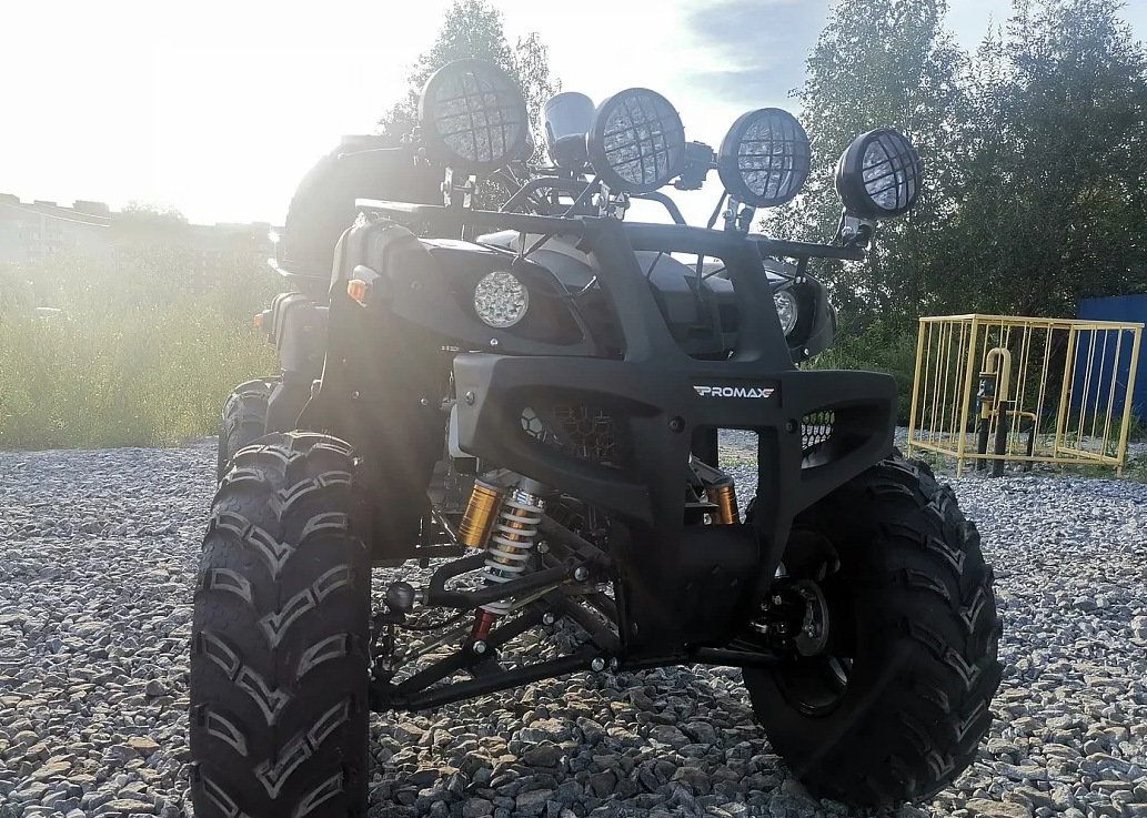 Квадроцикл PROMAX LEO 300 Max (кардан) в Северске
