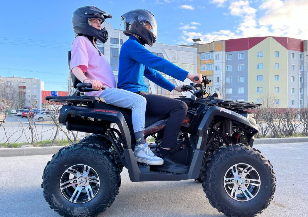 Квадроцикл PROMAX RENEGADE 300 LONG WINCH PRO (2025) в Северске