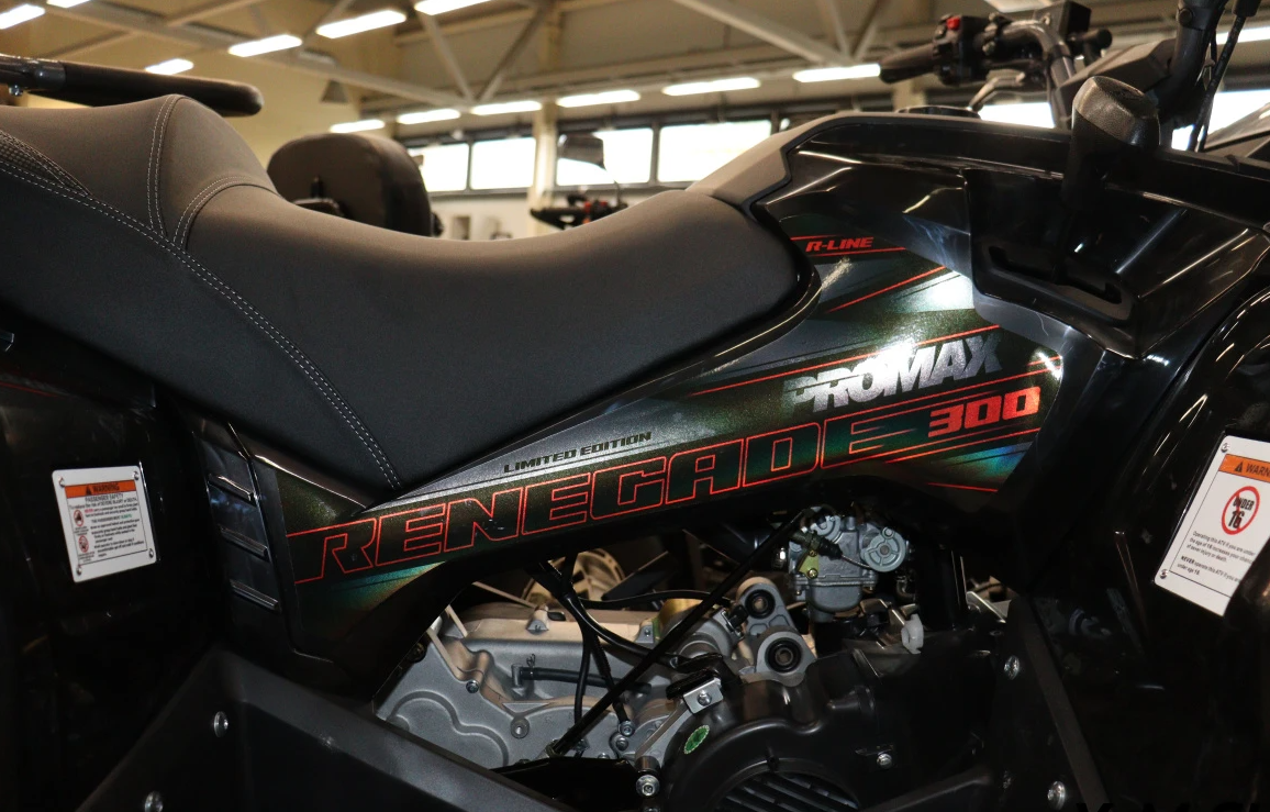 Квадроцикл PROMAX RENEGADE 300 LONG WINCH PRO (2025) в Северске