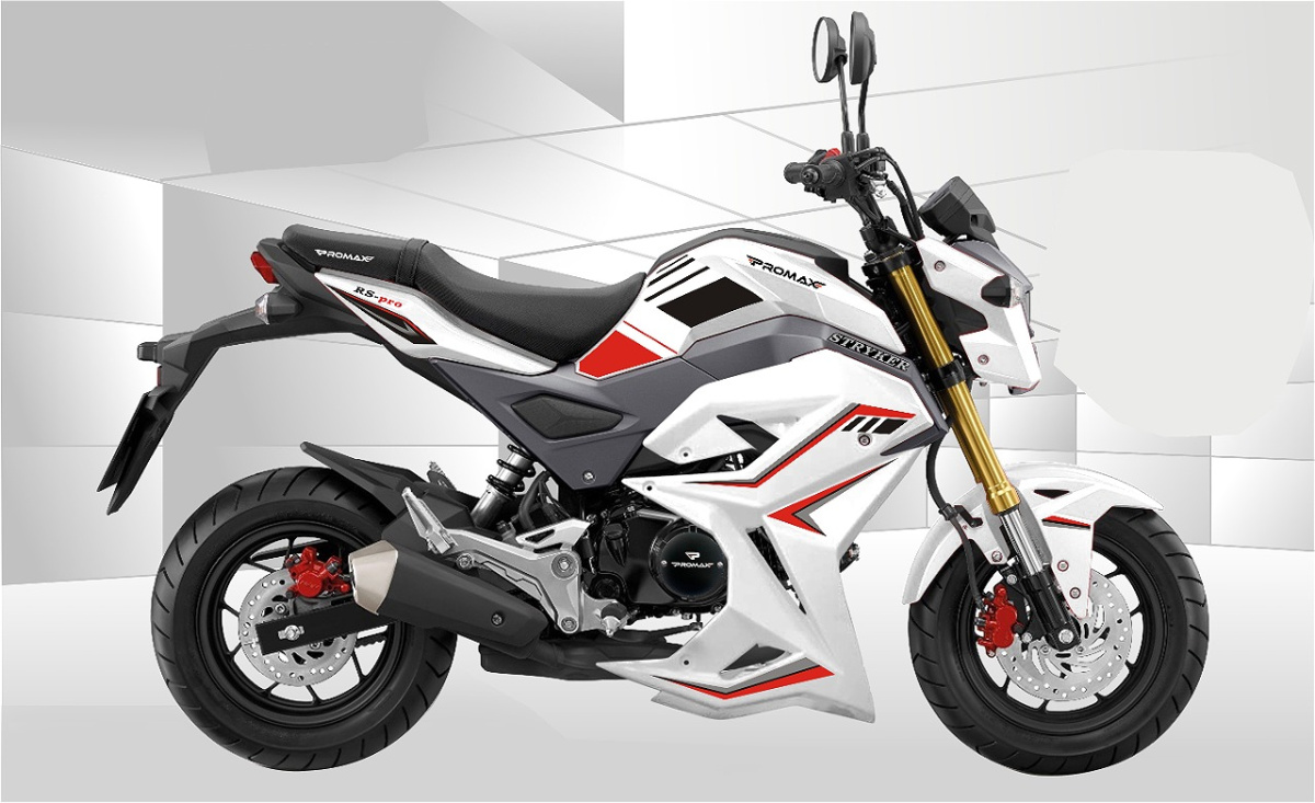 Мотоцикл PROMAX STRYKER 200(49) 2.0 в Северске