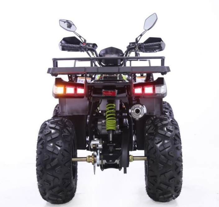 Квадроцикл YACOTA WARRIOR 200 PRO в Северске