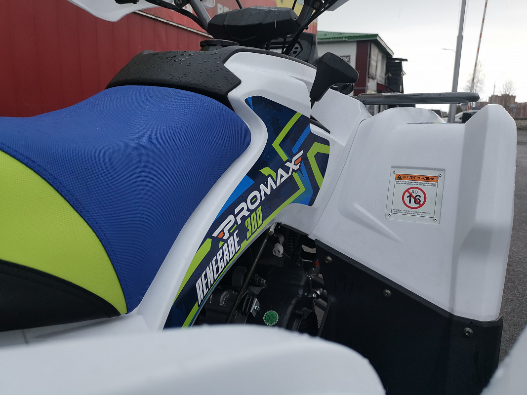 Квадроцикл PROMAX RENEGADE 280 LUX (2025) в Северске