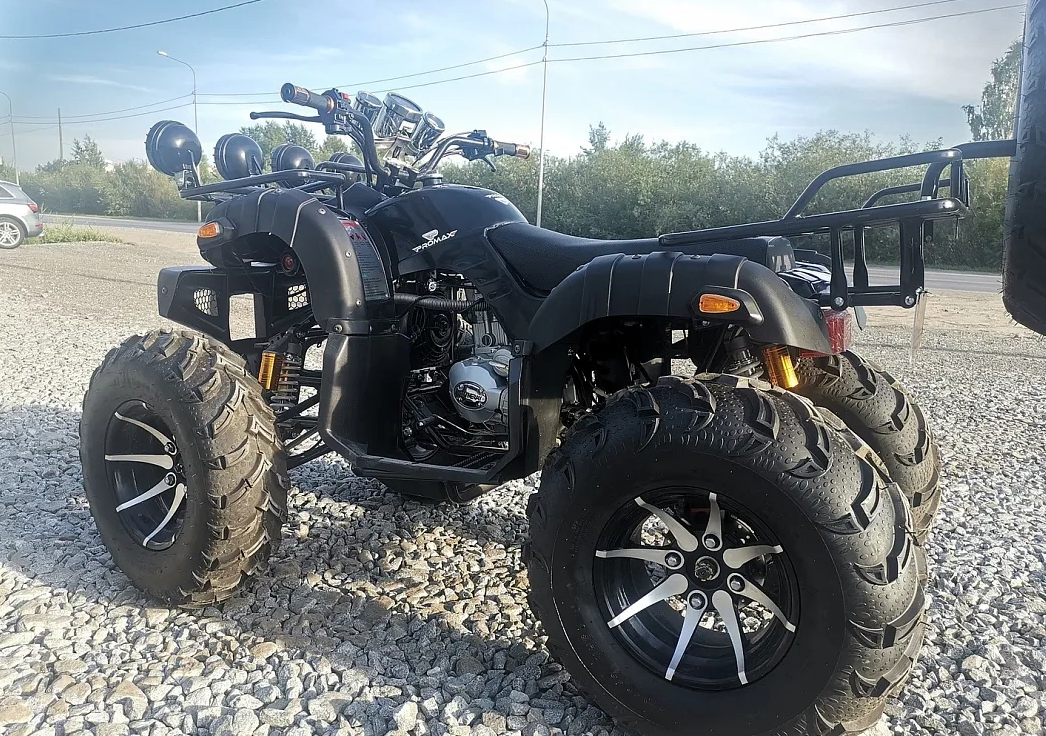 Квадроцикл PROMAX LEO 300 Max (кардан) в Северске