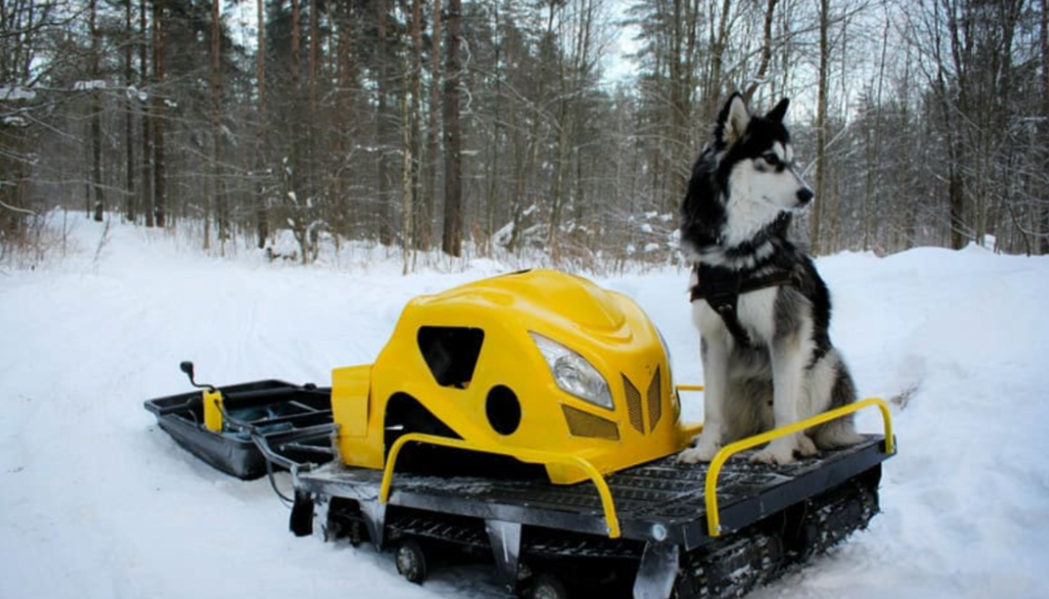 Мотобуксировщик LEBEDEV MOTORS ВОЛКОДАВ POWER V13 в Северске
