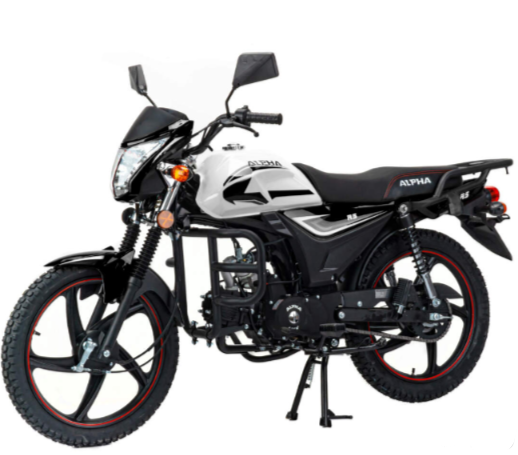 Мопед MOTOLAND (МОТОЛЕНД) Альфа RS 11 (LM48-B) в Северске