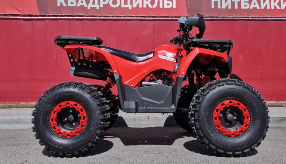 Квадроцикл PROMAX WILD 175 BASIC в Северске
