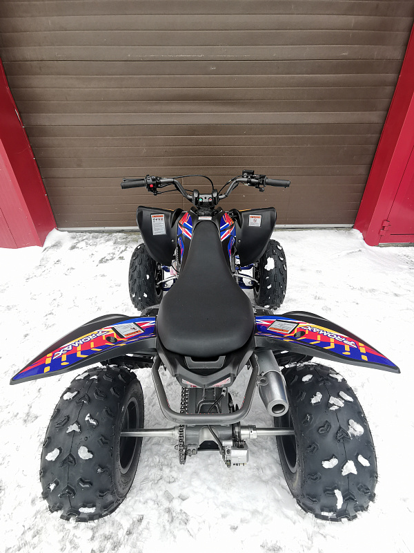 Квадроцикл PROMAX RAPTOR 300 NEW RedBull в Северске