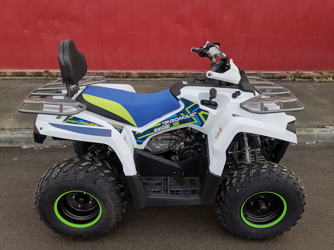 Квадроцикл PROMAX RENEGADE 280 LUX (2025) в Северске