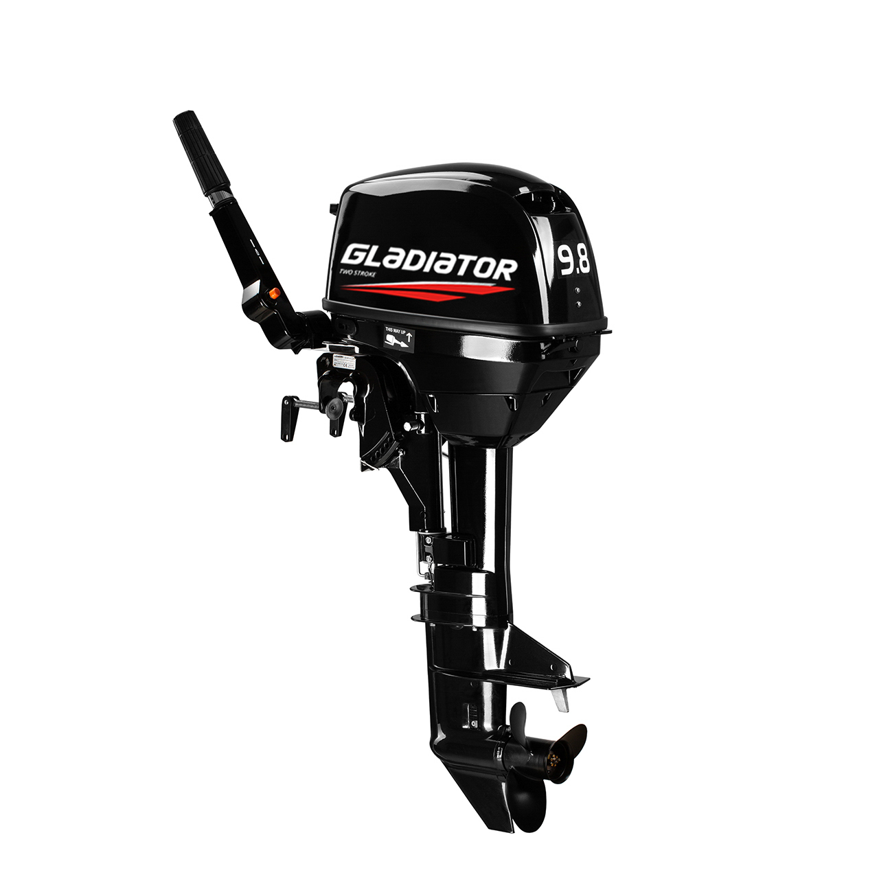 ЛОДОЧНЫЙ МОТОР GLADIATOR G9.8FHS в Северске