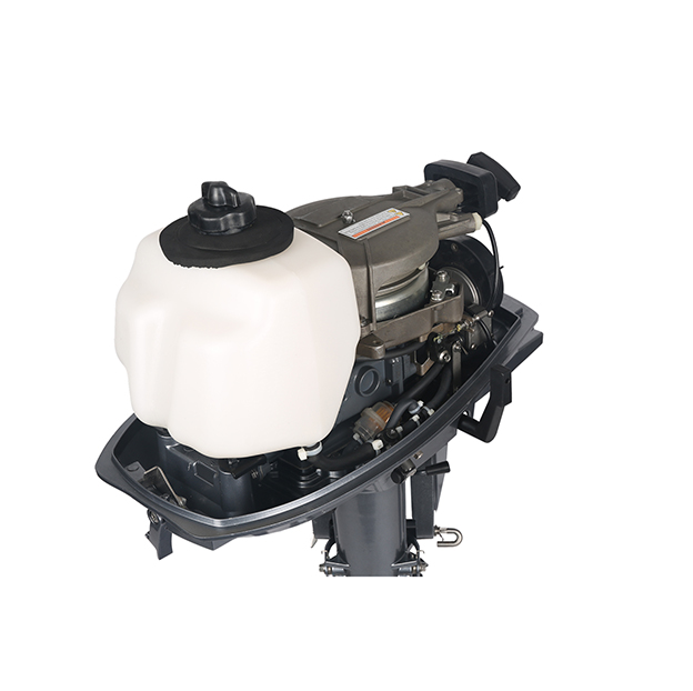 ЛОДОЧНЫЙ МОТОР ALLFA CG T5 в Северске