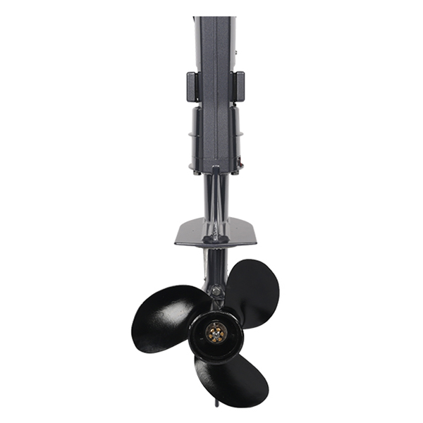 ЛОДОЧНЫЙ МОТОР ALLFA CG T5 в Северске