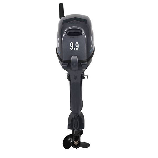 Лодочный мотор ALLFA CG Т9.9(20)MAX в Северске