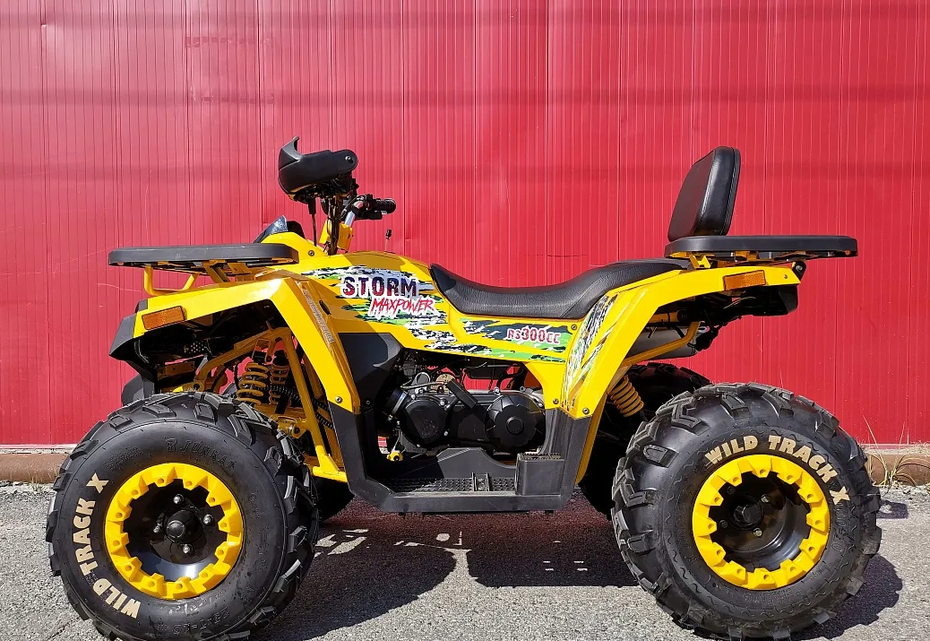 Квадроцикл PROMAX STORM 280 LUX в Северске
