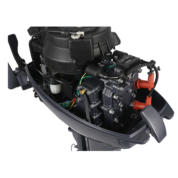 ЛОДОЧНЫЙ МОТОР ALLFA CG Т9,9 Limit в Северске