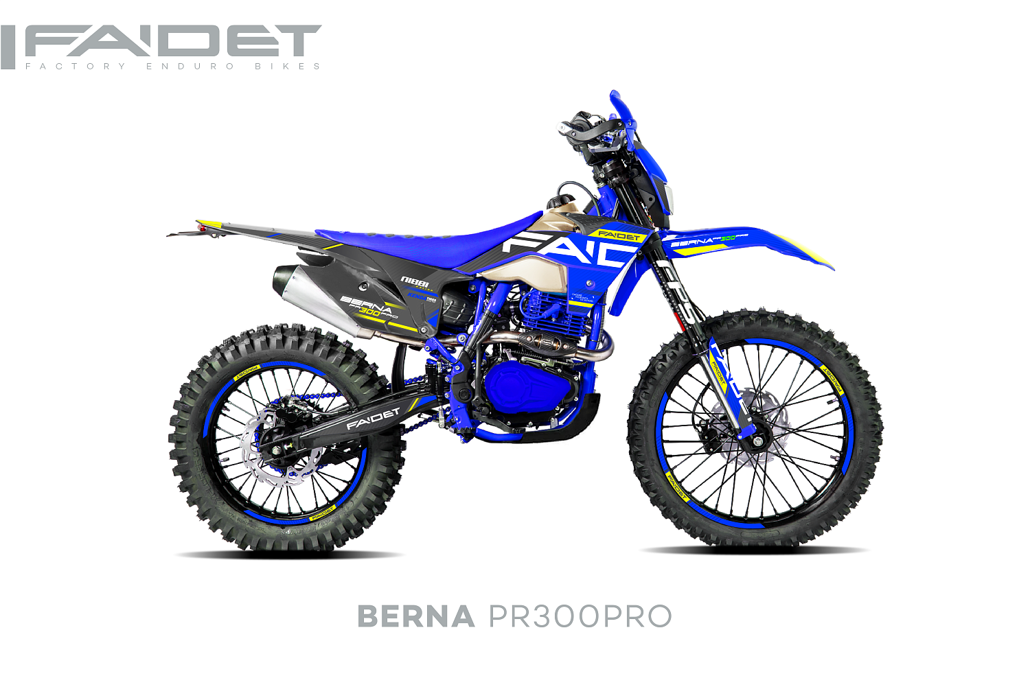 Кроссовый мотоцикл FAIDET BERNA PR300-PRO FPS в Северске