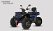 Квадроцикл PROMAX TAURUS 300 MAX-PRO LONG в Северске