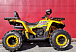 Квадроцикл PROMAX STORM 280 LUX в Северске