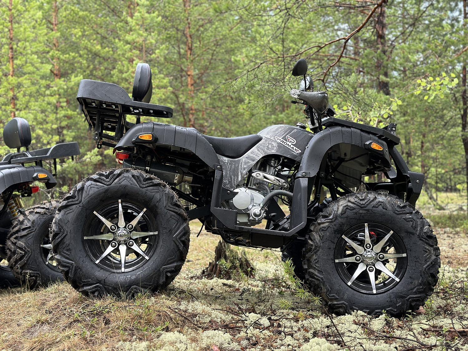 Квадроцикл PROMAX 320 DOMINATOR (2025) в Северске