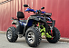  Квадроцикл PROMAX ATV 250 MAX (2025) в Северске