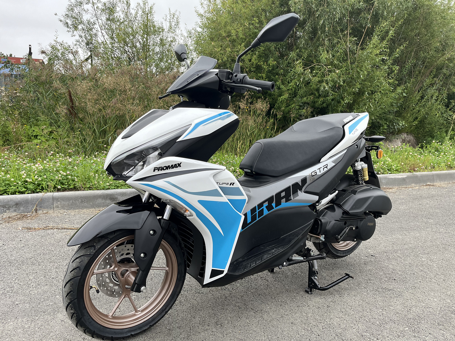 Скутер PROMAX TURAN 250 (49) в Северске