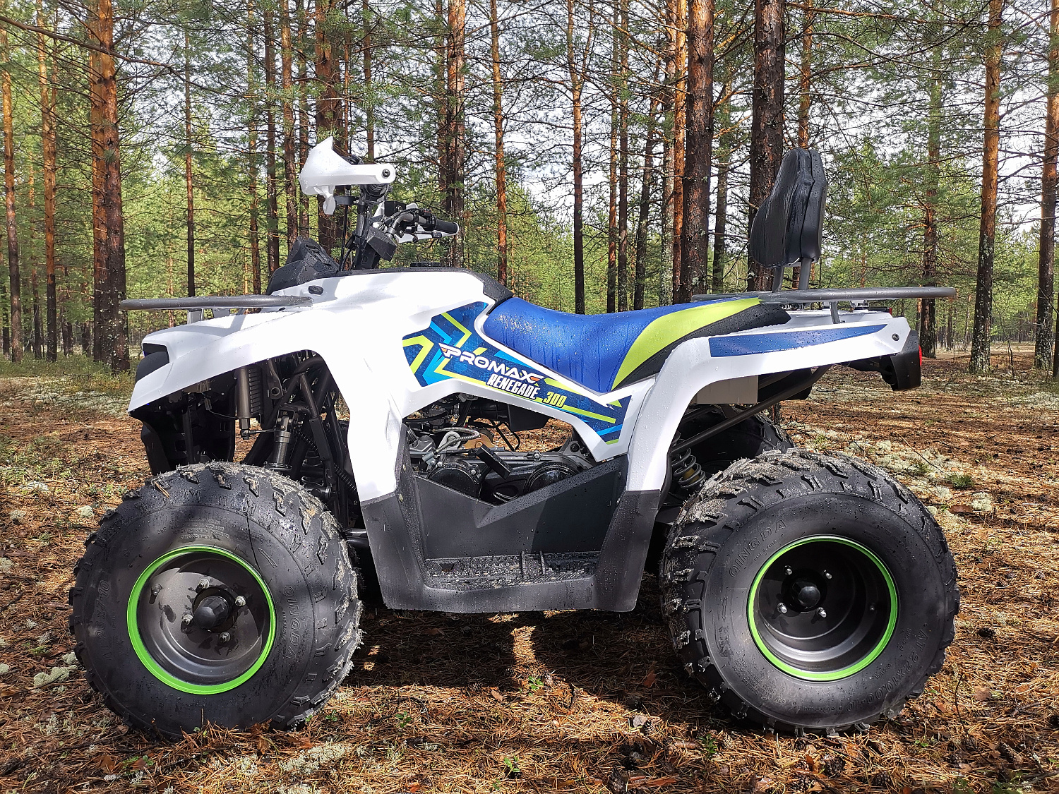 Квадроцикл PROMAX RENEGADE 280 (2025) в Северске