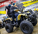 Квадроцикл PROMAX ATV 250 (2025) в Северске