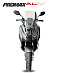 МаксиСкутер PROMAX-HONDA ADV 150 (49) (Inspired by HONDA) в Северске